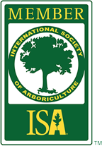 ISA Logo