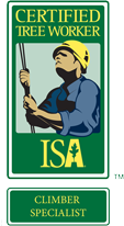 ISA Logo
