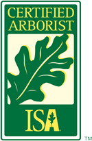 ISA Logo