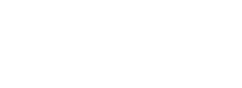 ANSI Logo