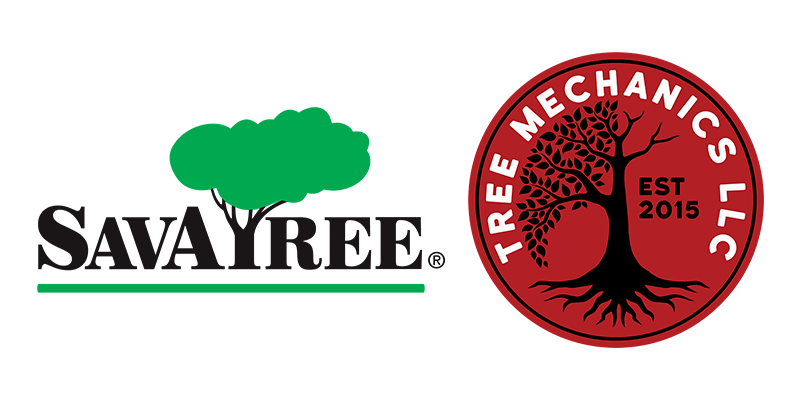 SavATree_TreeMechanics_Announcement (1)