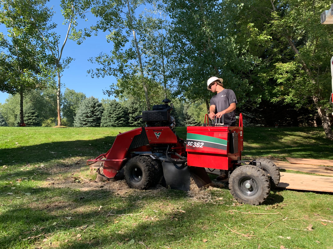Stump Grinding